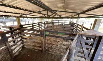 Imagem 7: Fazenda localizada em uma das regiões com maior altitude do estado-Área total: 1.190 Hecta