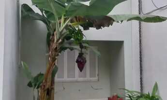 Imagem 4: Locação Casa PORTO ALEGRE RS Brasil