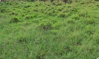 Imagem 2: Terreno Terreno / lote com venda por R$30.000
