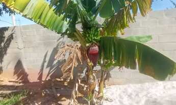 Imagem 3: Casa em construção