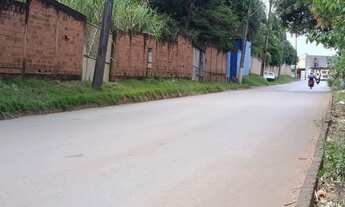 Imagem 4: Chácara Plana e bem localizada a 800 metros da GO 070