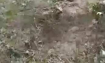 Imagem 2: Lote no condomínio Ipê Amarelo - Ponte alta do Gama