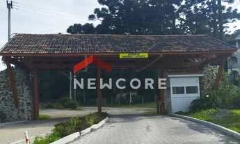 Imagem 7: Lote em Rua 20 - Alpes - São Francisco de Paula/RS