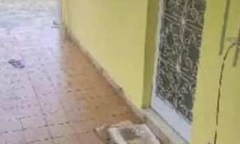 Imagem 3: Casa de Aluguel Casa com 1 dormitório