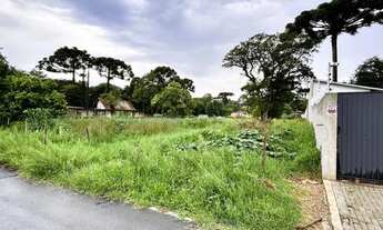 Imagem 6: Excelente terreno de esquina, plano, seco, 15x40, 600m2, a uma quadra da Rua Herbert Trapp