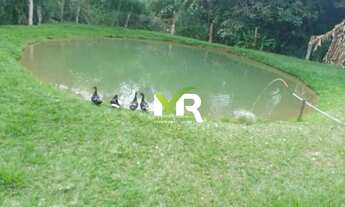 Imagem 3: Sítio de 2 Alqueires em Cristinópolis - GO a Venda!