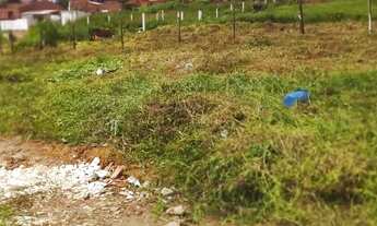 Imagem 7: Vendo dos lotes altos do Jaguarema