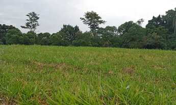 Imagem 5: Invista Bem: Terreno no Recanto Ipê com Ótima Localização