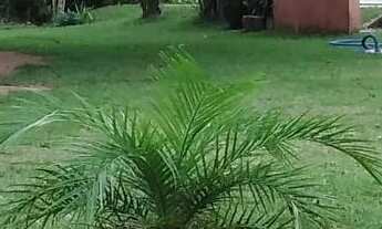 Imagem 2: Estou a venda,uma belíssima propriedade sítio rocha