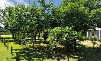 Imagem 6: Chácara Condomínio Monte Hermon Terra Santa Trindade Prox Arca Parque