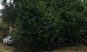 Imagem 4: Chacara Hipica - 2800 m²