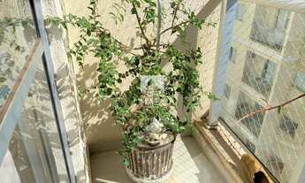 Imagem 4: Apartamento no São Benedito