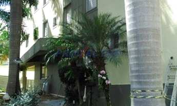 Imagem 2: Apartamento - Vila Industrial - Campinas