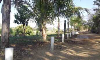 Imagem 7: Sitio de 20.000m², criatório de peixes, córrego, Jaboticatubas (Temos varias opções)