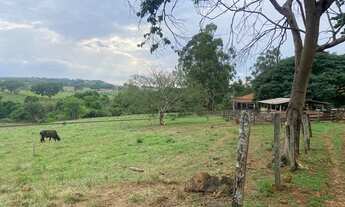 Imagem 5: Excelente chácara em Nova Veneza