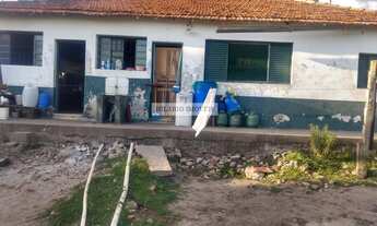 Imagem 7: Fazenda para Venda em Corumbá, Centro