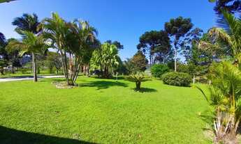 Imagem 6: Sítio para Venda em Paulo Lopes, Bom Retiro, 3 dormitórios, 1 suíte, 2 banheiros, 3 vagas