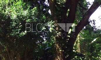 Imagem 7: Rio de Janeiro - Terreno Padrão - Jacarepaguá