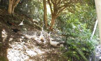 Imagem 5: Rio de Janeiro - Terreno Padrão - Camorim