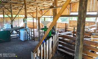 Imagem 3: Chácara com 6.000m² - Taquara, RS