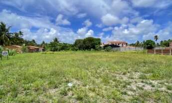 Imagem 2: Lotes em São Miguel dos Milagres