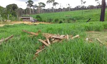 Imagem: Vendo terra!