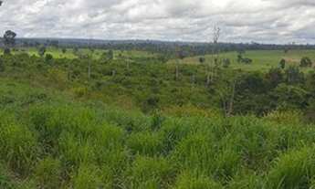 Imagem 2: Fazenda 70 alqueires com 65 de abertura! 120 km de Parauapebas?