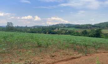 Imagem 6: Excelente chácara em Nova Veneza