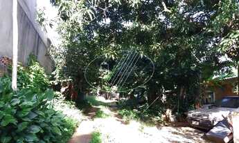 Imagem 5: Casa - Chácara Primavera - Campinas