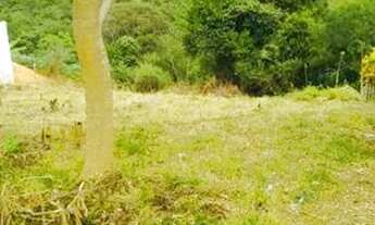 Imagem 7: Lote 350m2 em Sá Fortes (Antonio Carlos / Barbacena) - oportunidade