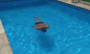 Imagem 5: CASA DUPLEX ESTILO COLONIAL COM 412 METROS QUADRADOS DE ÁREA CONTRUIDA