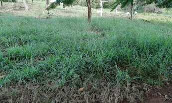 Imagem 6: 10 Alqueires e 47 litros Em Córrego do Ouro