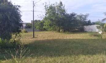 Imagem 7: Ótimo lote 150 m do mar no Cumbuco