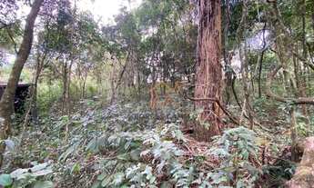 Imagem 4: Lote a venda no Quintas do Sol