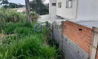 Imagem 3: SAO BERNARDO DO CAMPO - Residential / Land Lot - BAIRRO DOS CASA