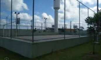 Imagem 2: Bosque das Casuarinas ( repasso financiamento