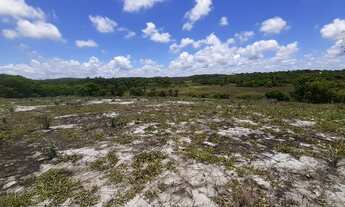 Imagem 2: Terreno para venda - 20.000m2 - Linha Verde - em Porto de Sauipe - Entre Rios - BA