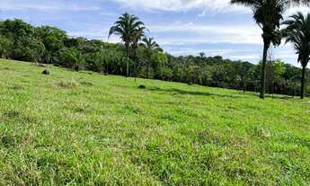 Imagem: Fazenda com 150 Hectares na Serra de São