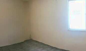 Imagem 2: Eucalipto - 2/4 - Térreo - Sombra