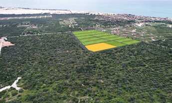 Imagem 4: Loteamento Próximo a praia de Majorlândia - CE