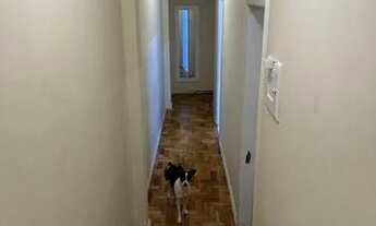 Imagem 9: Apto Tijuca rua José higino 2 quartos bom e barato