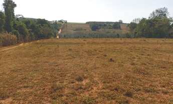 Imagem 3: SITIO COM 8,5 ALQ. - SERINGUEIRA RENDENDO + PASTO- ACEITA IMÓVEL COMO PARTE DO PAGTO-MIRAS