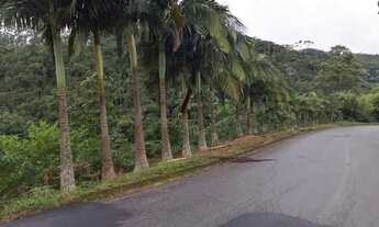 Imagem 5: Terrenos em Domingos Martins