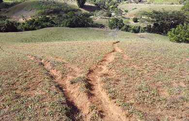 Imagem 14: SITIO COM 24,2 HECTARES - SANTA MARIA MADALENA