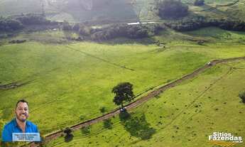 Imagem 6: 19 Hectares área rural - Andradas - Minas Gerais