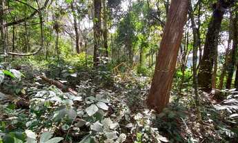 Imagem 6: Lote a venda no Quintas do Sol