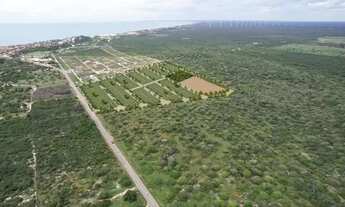 Imagem 5: Loteamento Próximo a praia de Majorlândia - CE