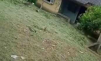 Imagem 3: Imóvel em avenida comercial