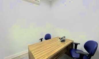 Imagem 2: SÃO PAULO - Loja de Shopping/Centro Comercial - PERDIZES