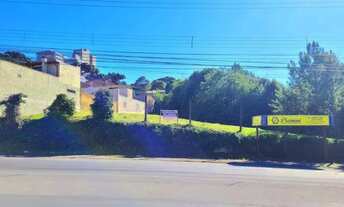 Imagem: CAXIAS DO SUL - Terreno Padrão - CRUZEIRO